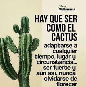 Meet your Posher, Cornelia